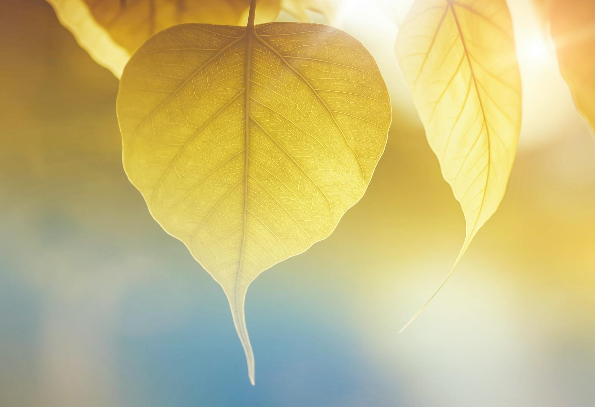 Energy Auditing​